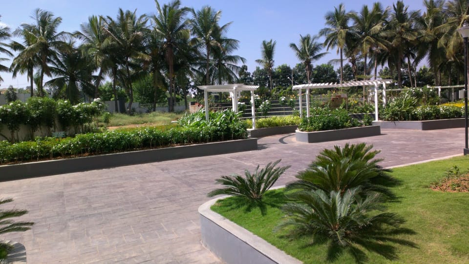 garden