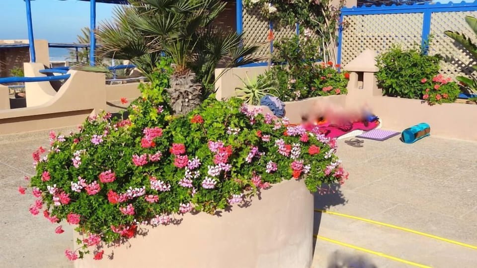 Terrace / Balcony