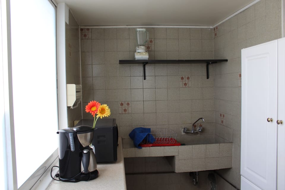 Practice Linear kitchen