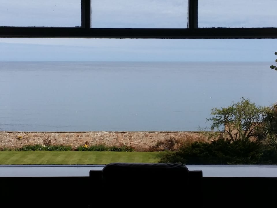 View from the livingroom