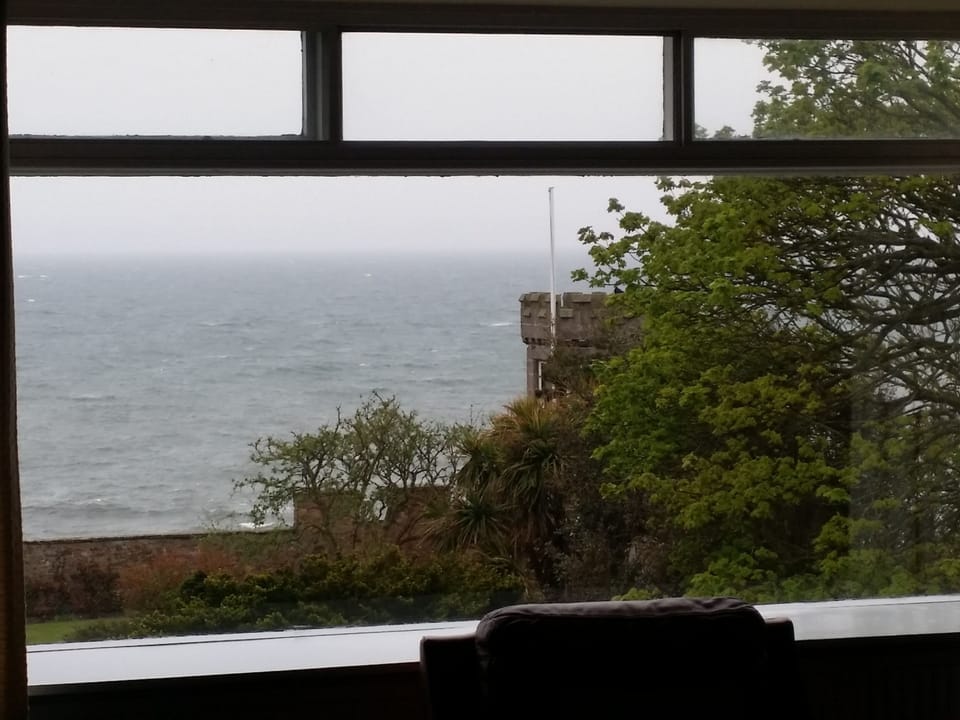 View from the living room