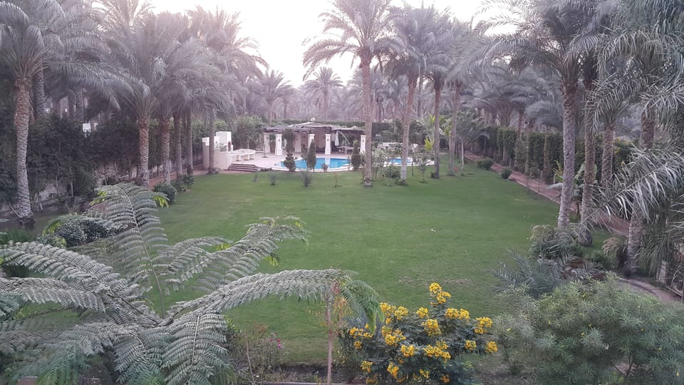 View of the garden from the terrace