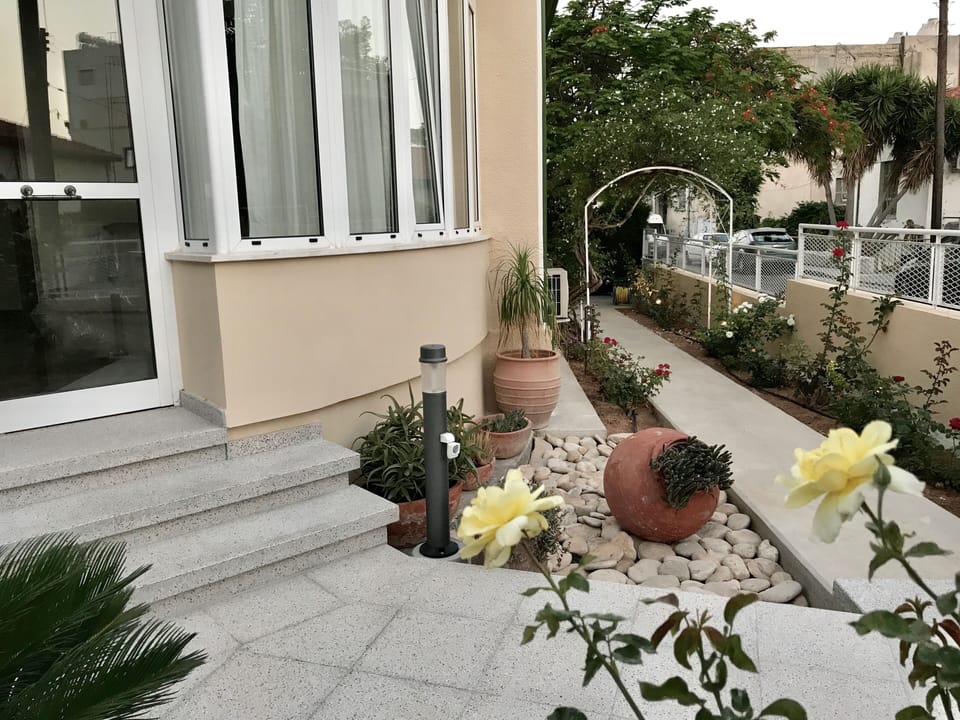 Lemon garden