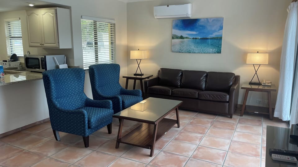 Villa 437 living area 