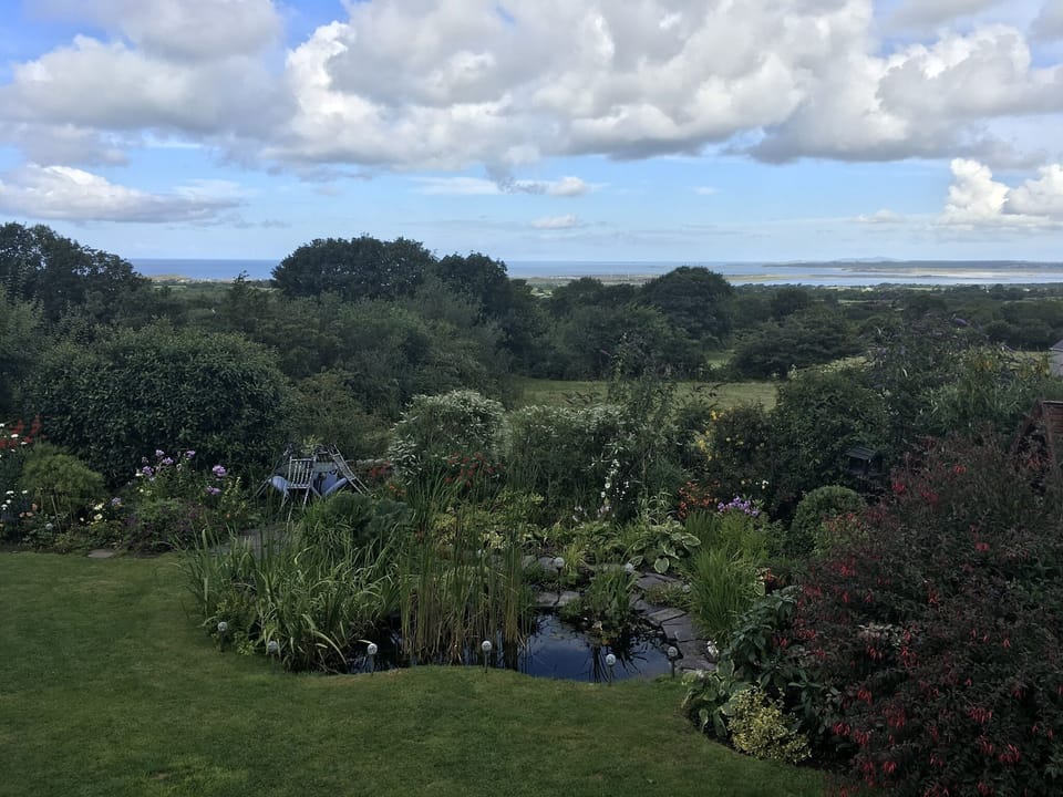 View from Hafod Boeth