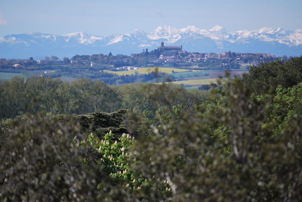 View from the domaine