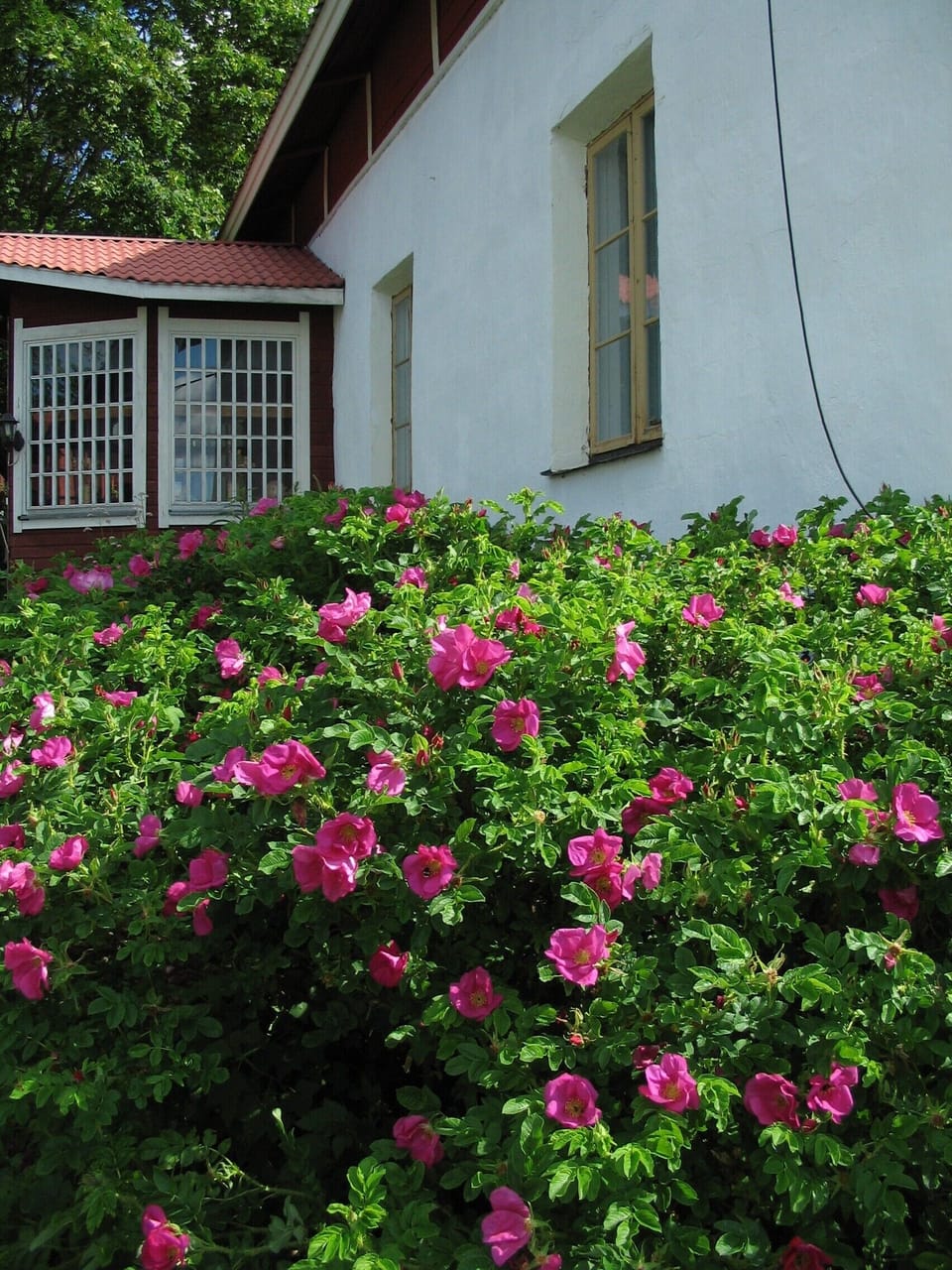 Exterior detail