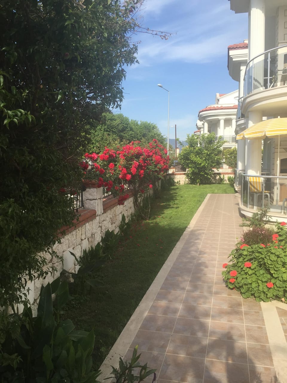Pathway to front door