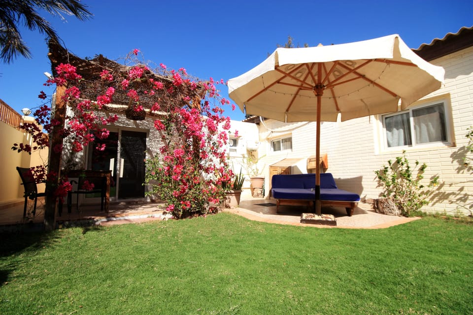 Seahorse terrace and sunbeds/shade