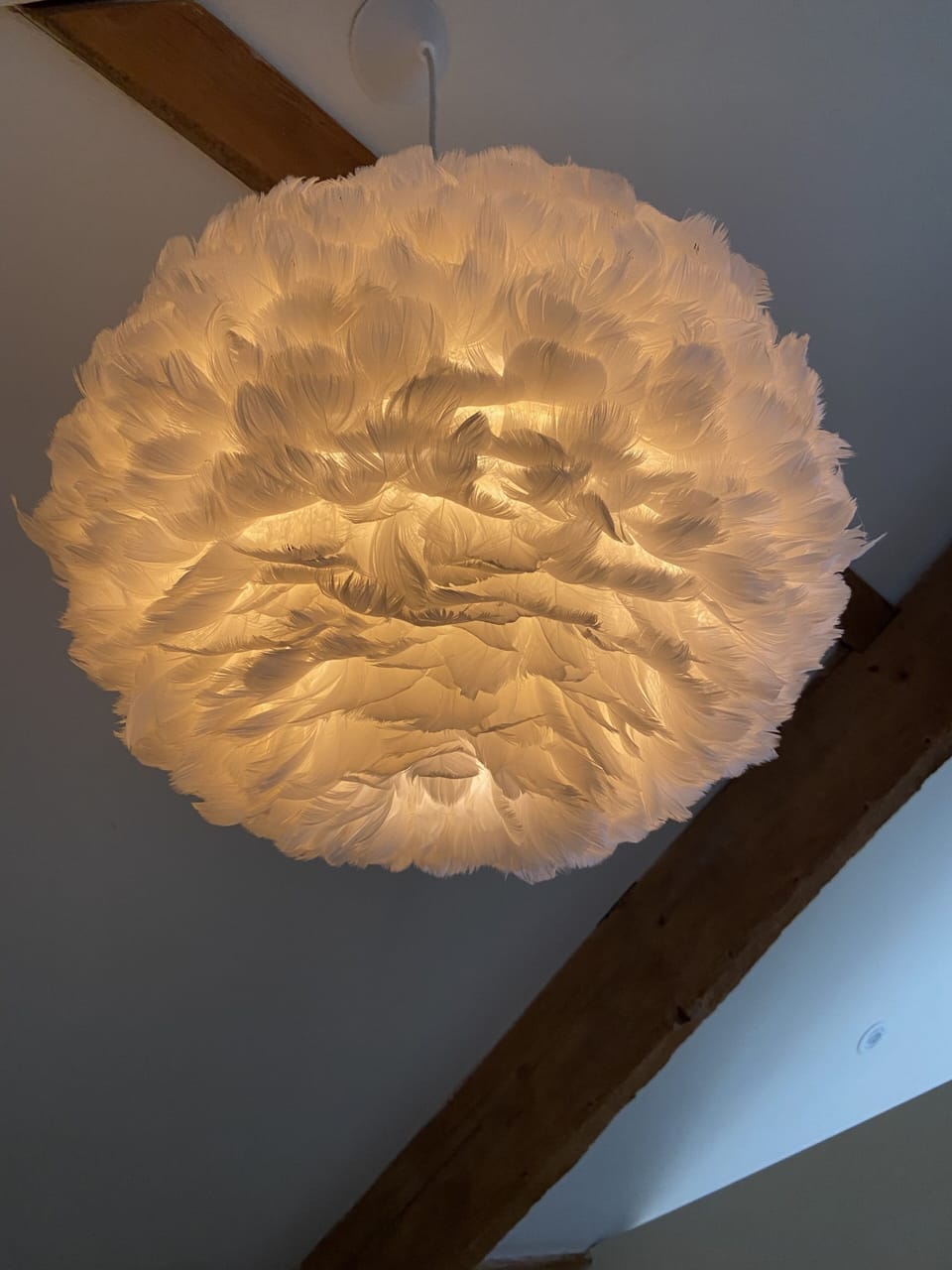 Homely interiors...