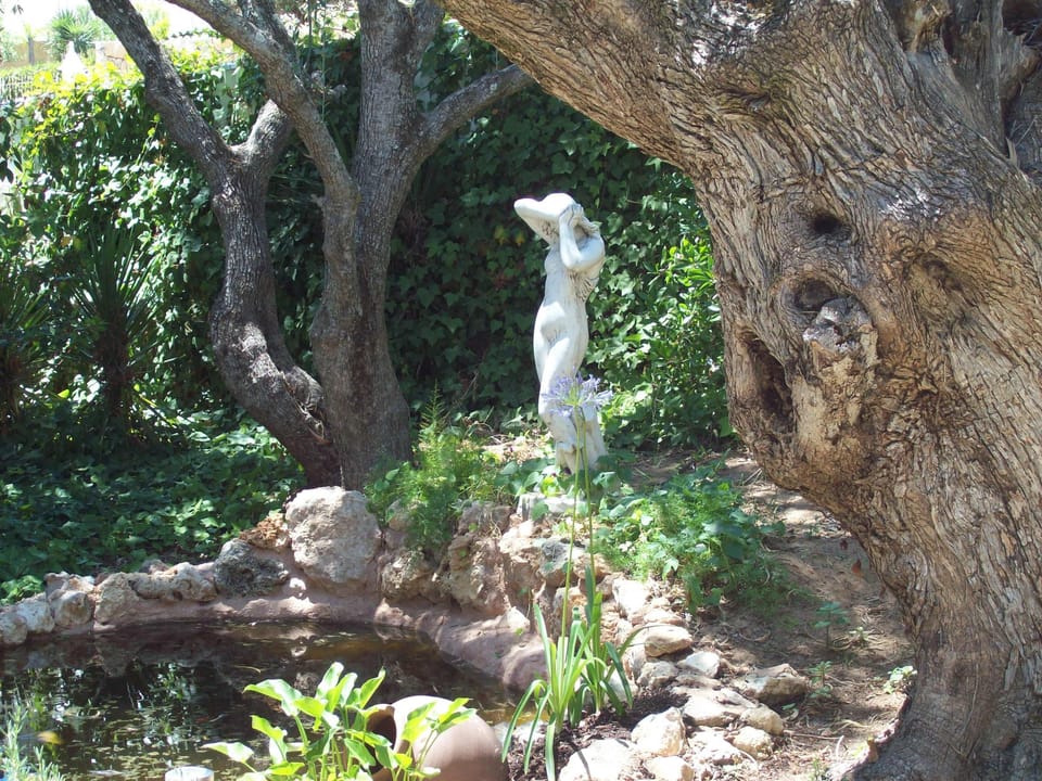 Private garden