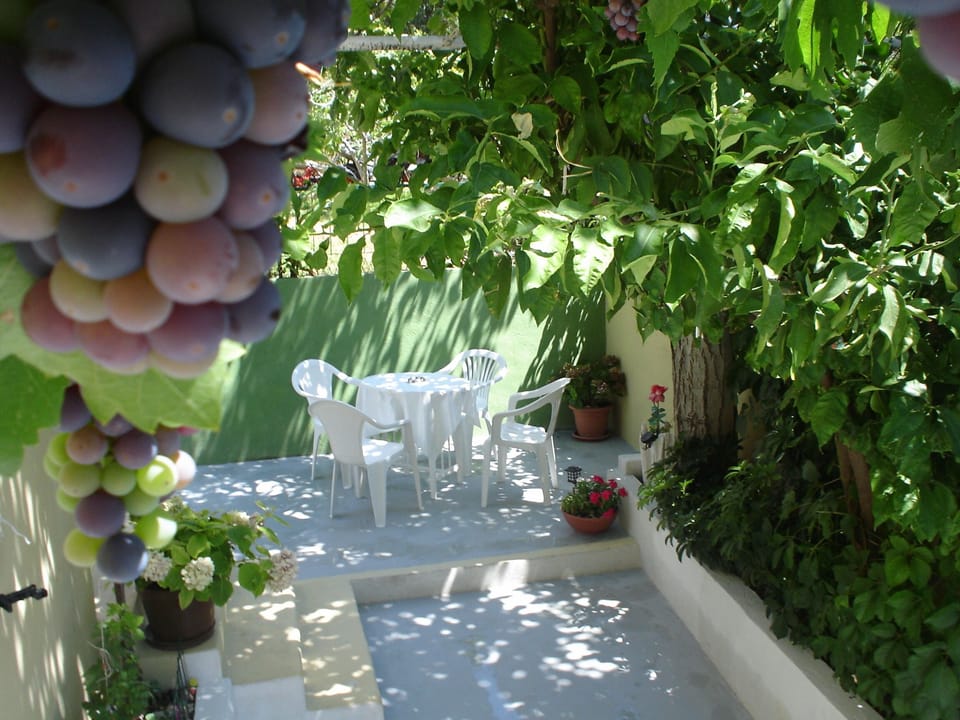 private BIG TERRACE/separate  entrance