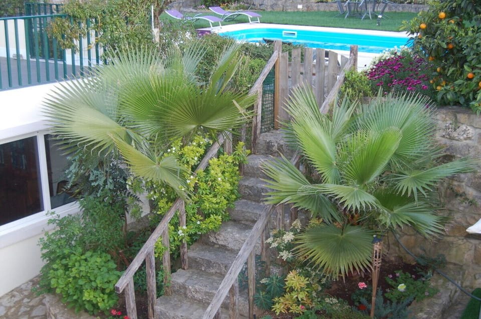 View of part of the lower and upper gardens.