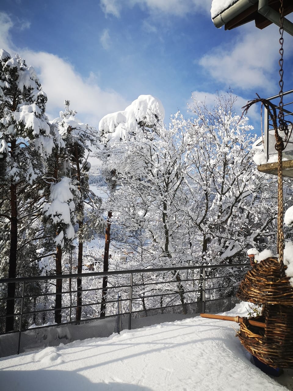 Terrace and garden with mountain views Cottage in Orbey