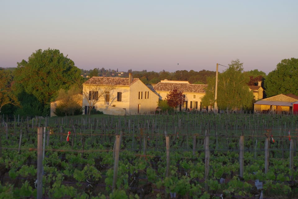 Property Across The Vineyard