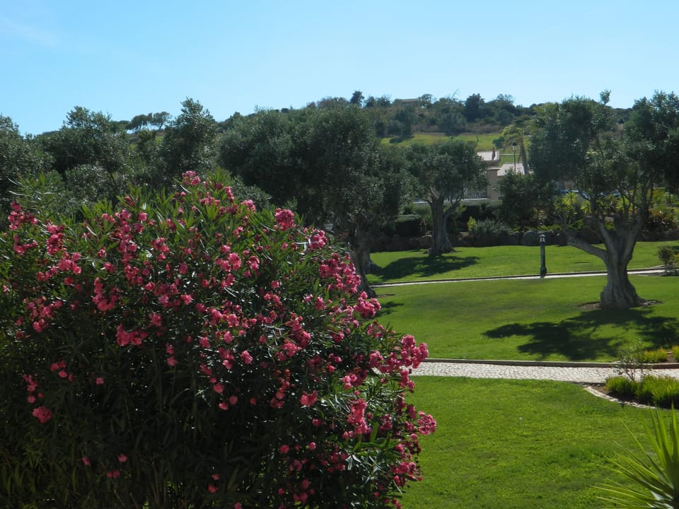 View from the front balcony