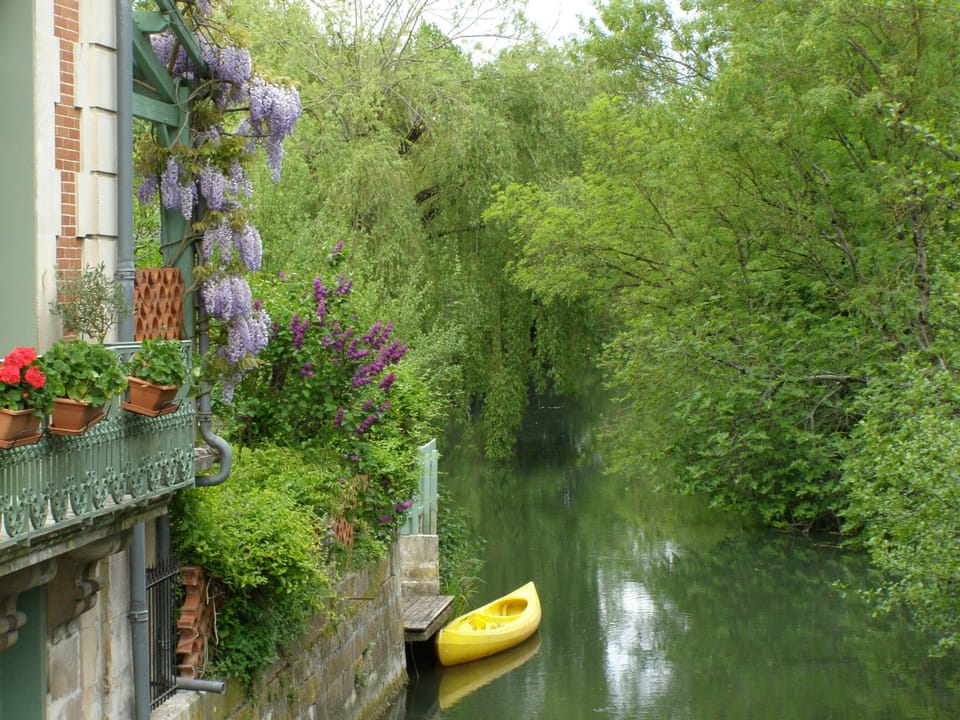 View from the river