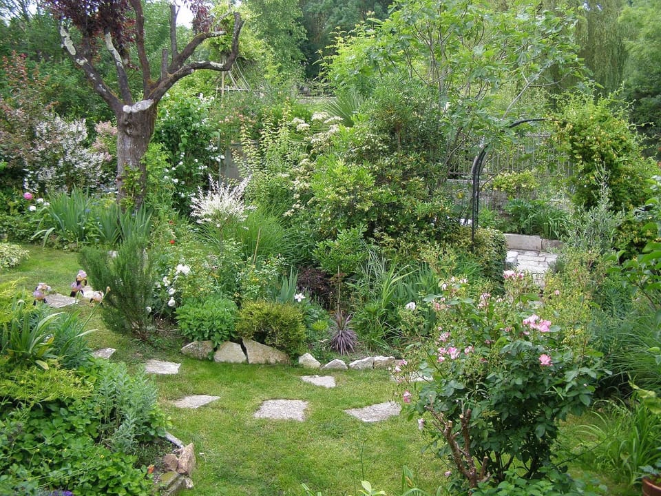 The garden