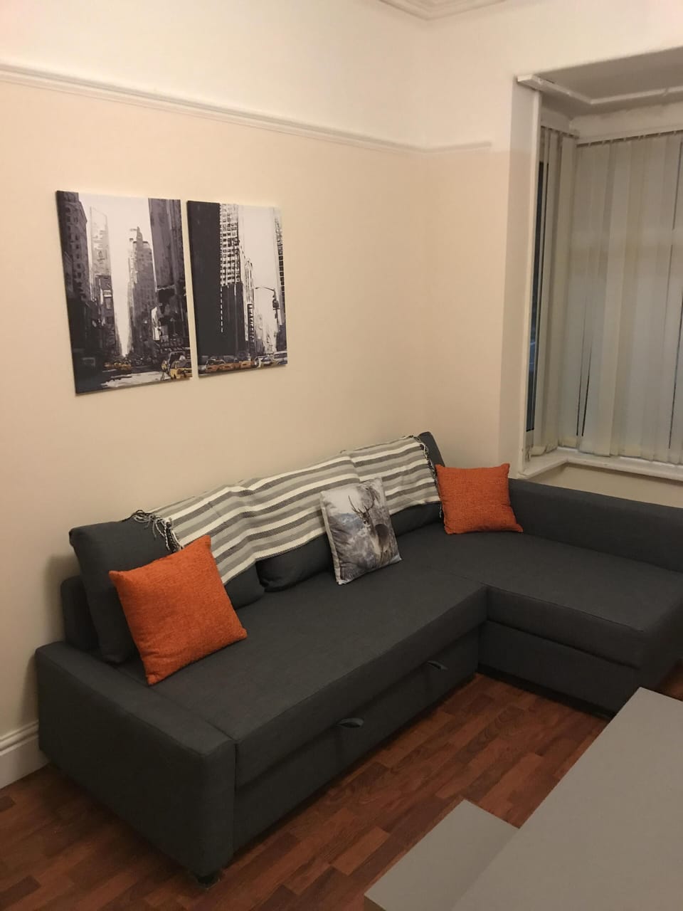 Living Area with Sofa Bed