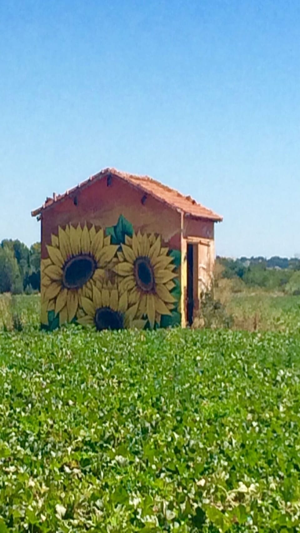 Nearby Serignan