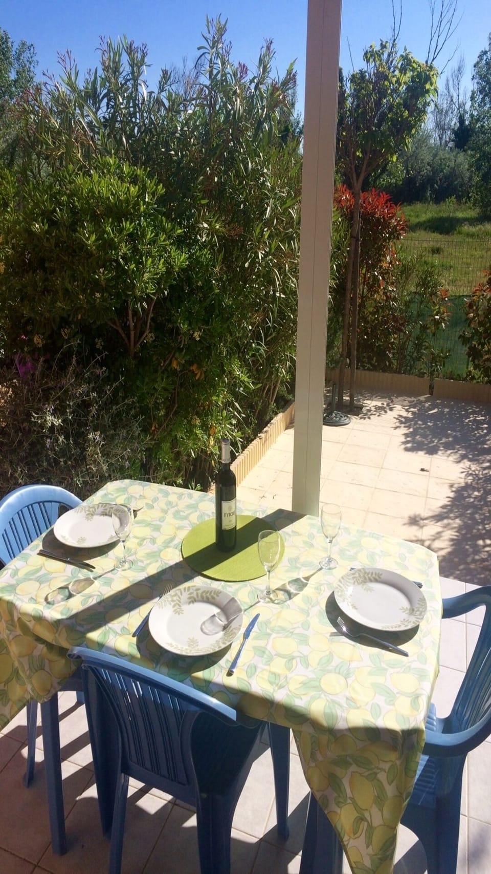 Terrace and garden