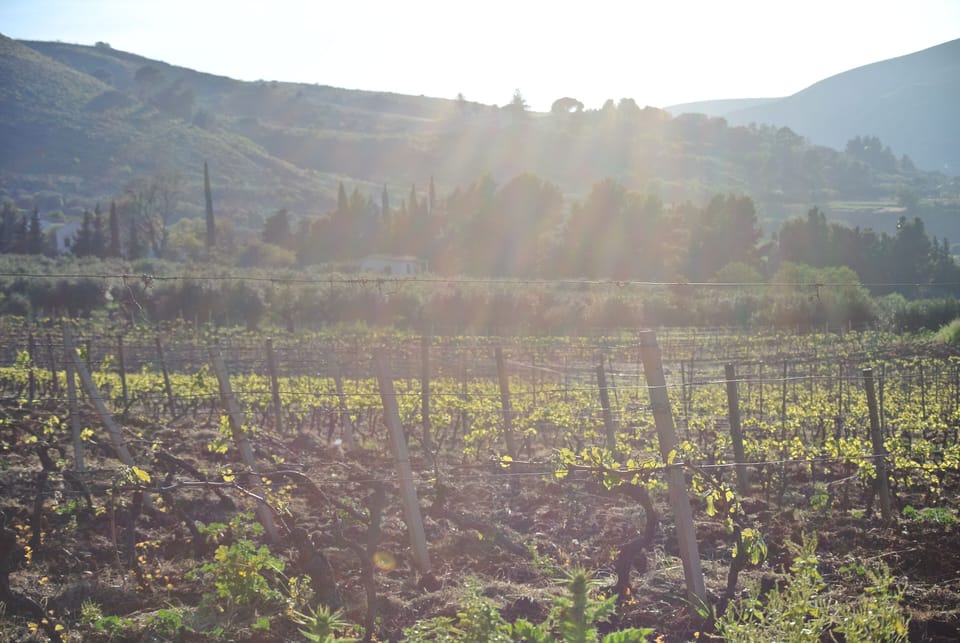 Evening sun in the valley