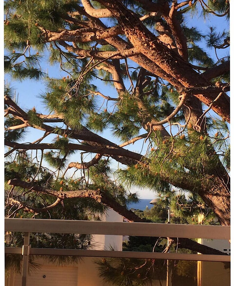 Even when lying in bed you can see the sea