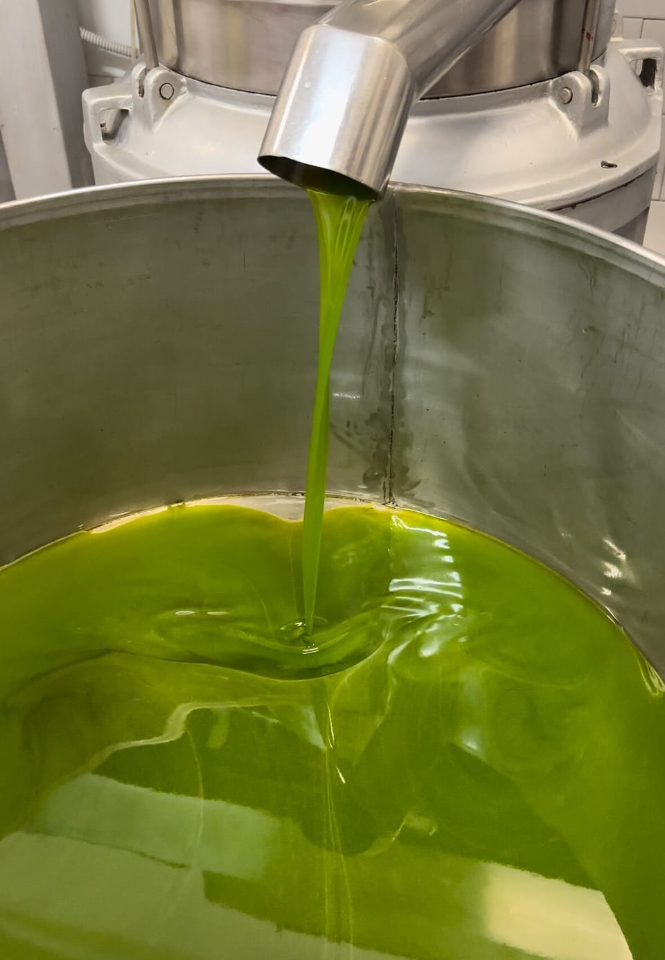 molitura delle olive di nostra produzione, campagna di raccolta 2023-2024