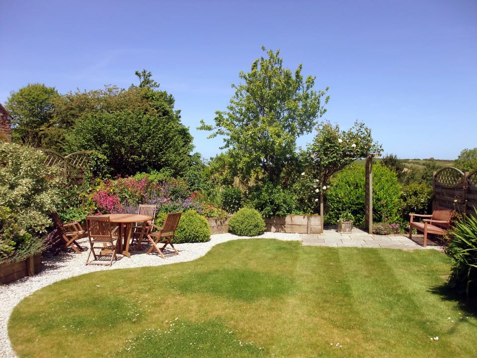 Courtyard garden with barbeque.