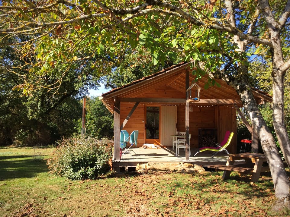 Nestled under an old walnut tree
