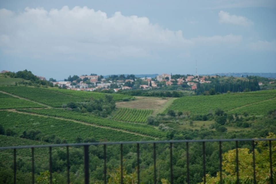 Exceptional views