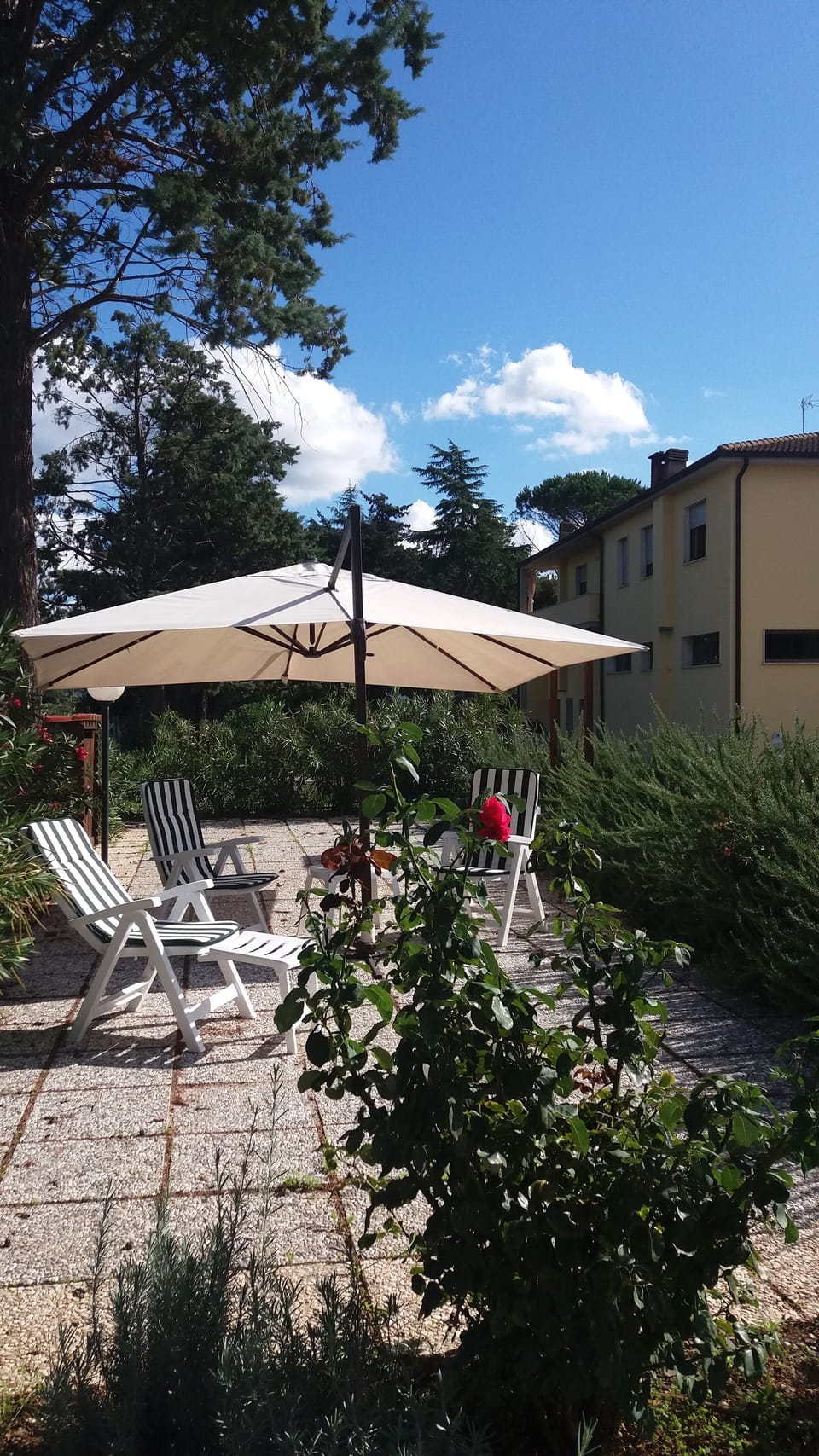 Terrace/patio