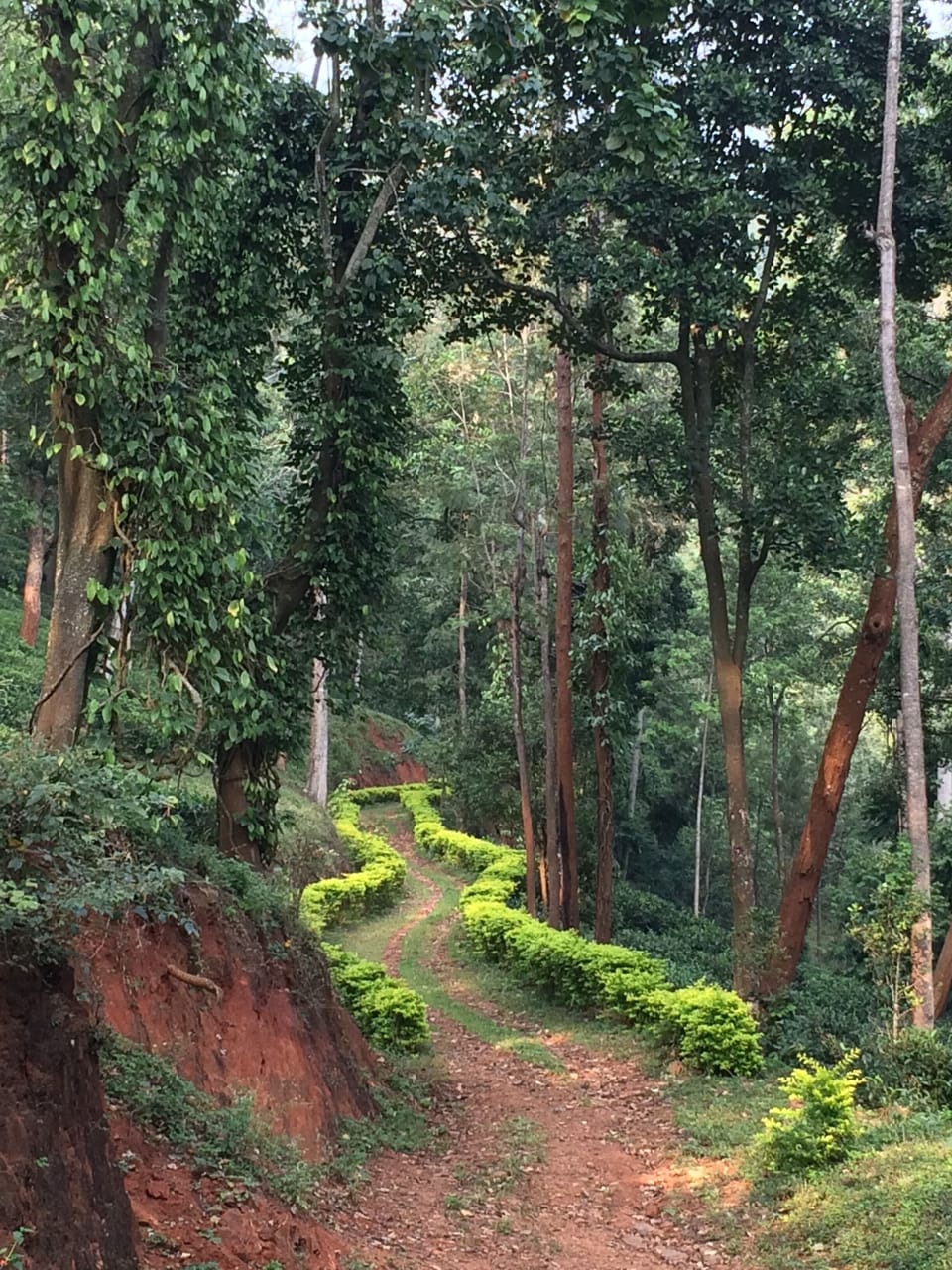 Trekking paths abound on this 120 acre estate