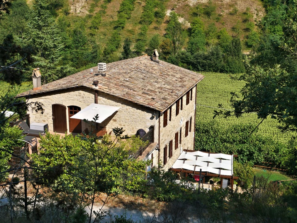 Pantano from above