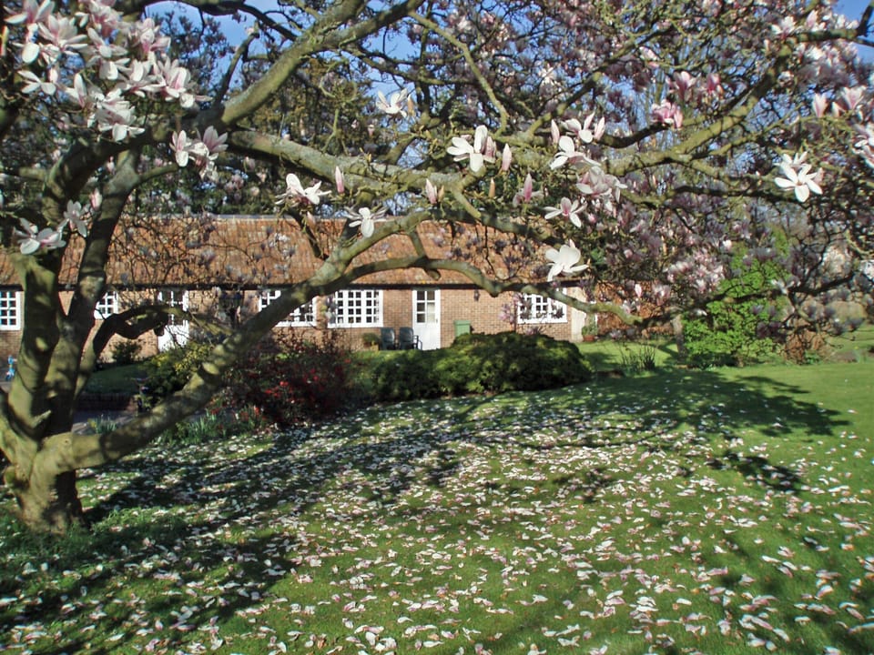 Spring at Little Court Cottages