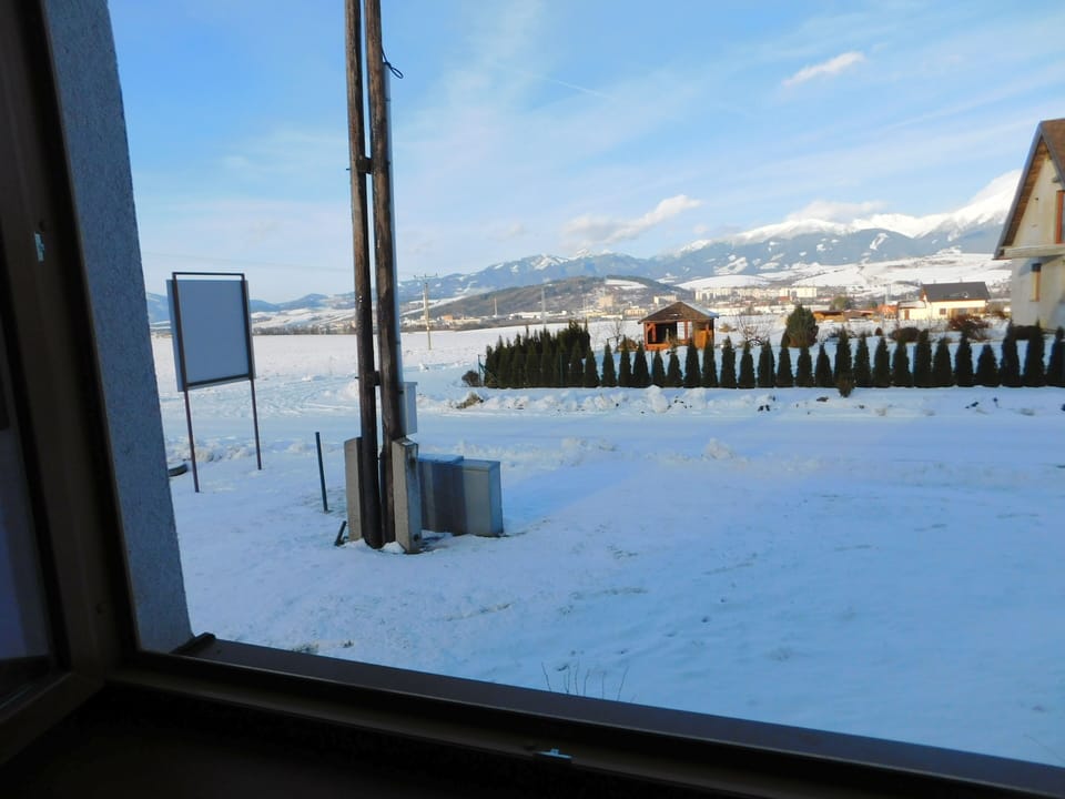 view from window