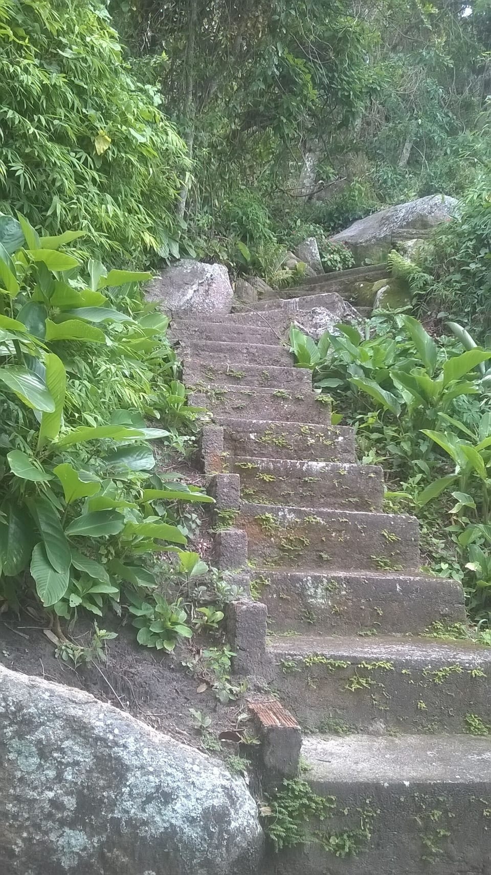 Stairs to the beach