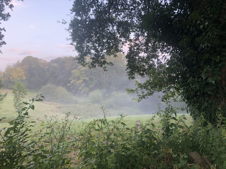 Early morning mist
