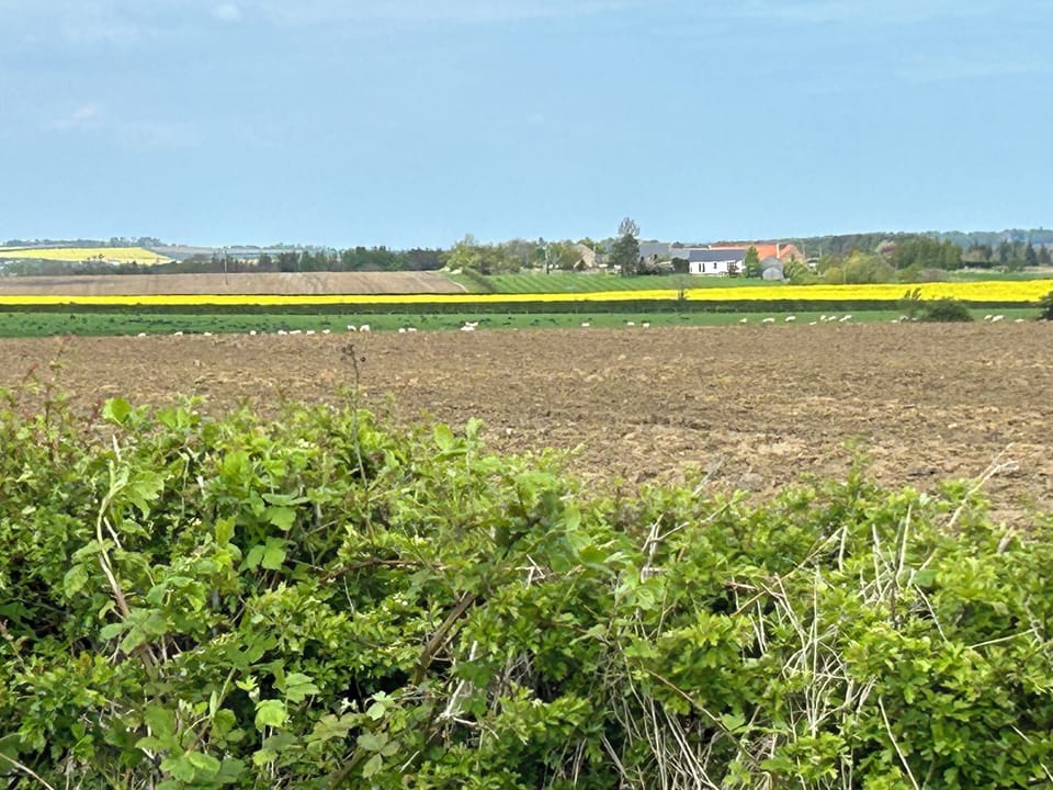 View of Lickar Lea where The Arches is located