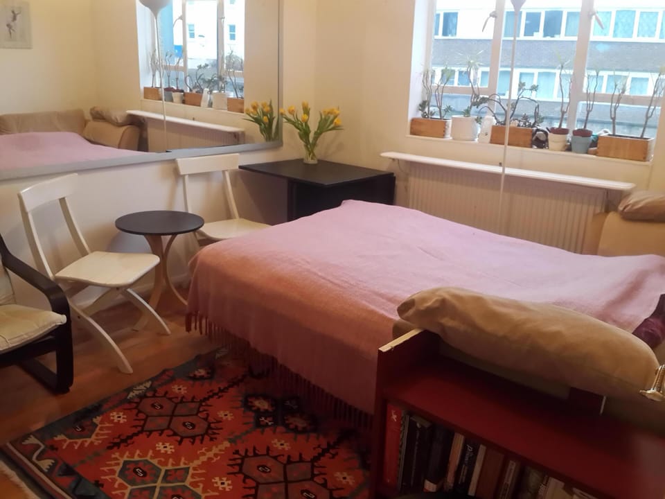 Living Room-sofa-bed opened