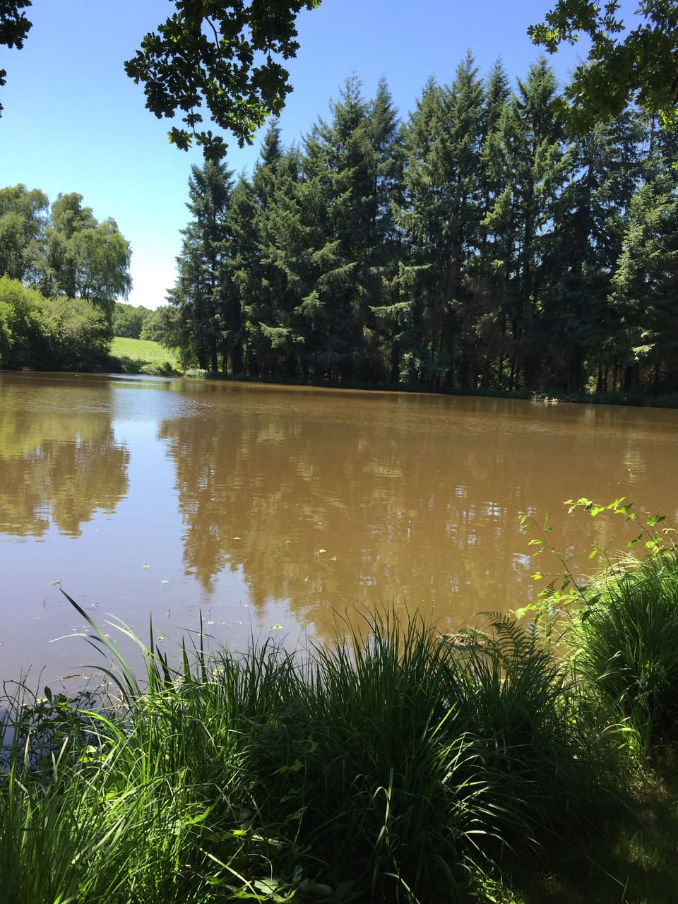 The beautiful lake