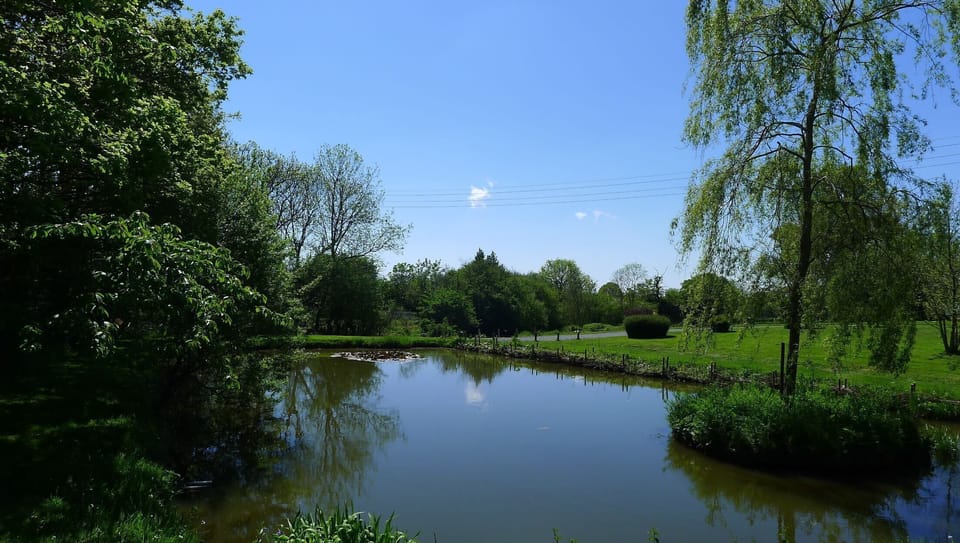 The duck pond. Kids and grown ups love feeding the ducks!