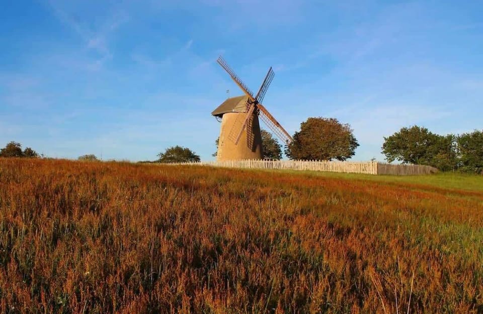 Bembridge Windmill, a popular local landmark close to Blackberry Cottage.
