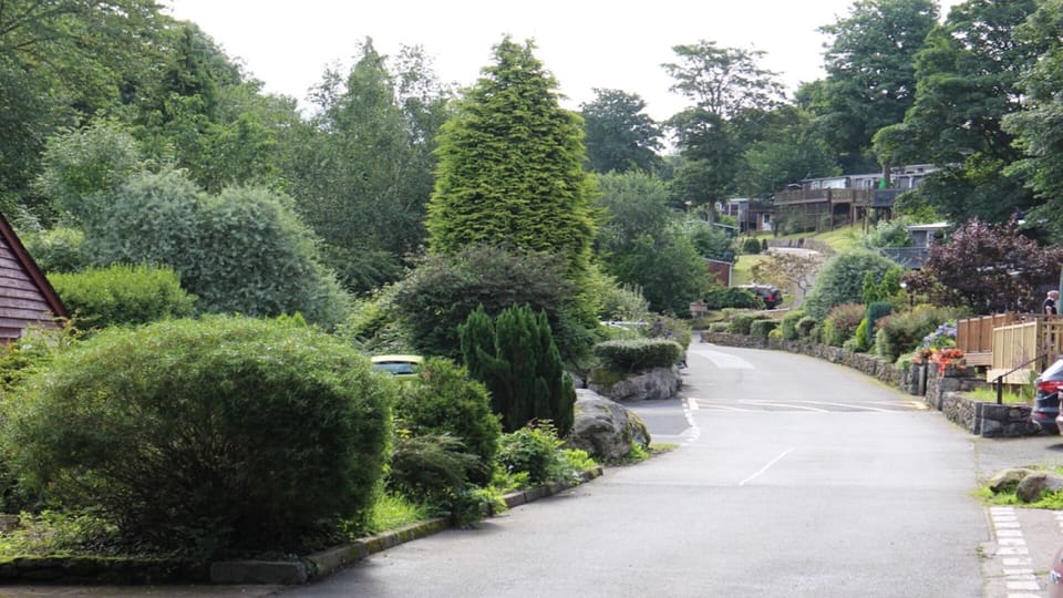Snowdon Drive leading to chalet