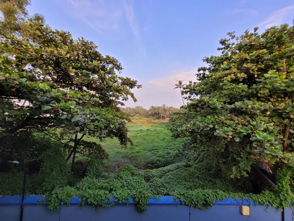 View of a field from the kitchen balcony. 