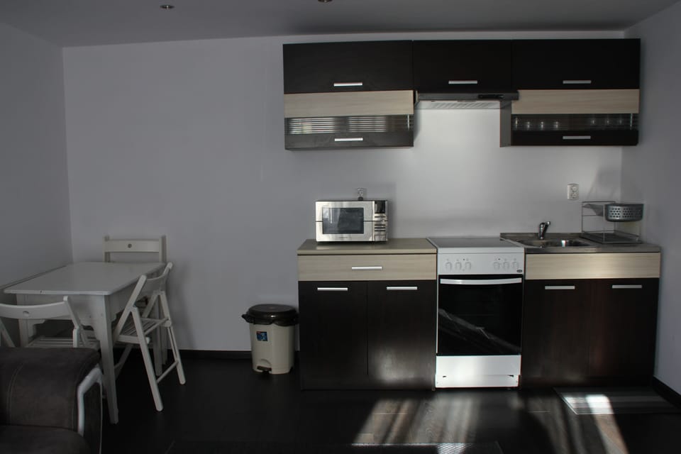 Kitchenette in the living room