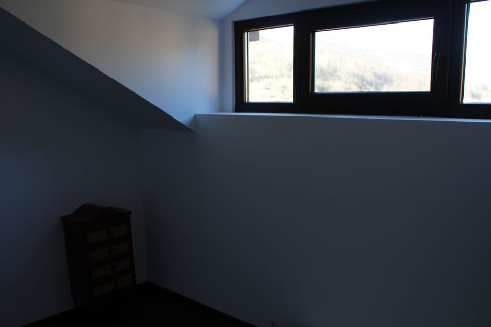 Loft room window