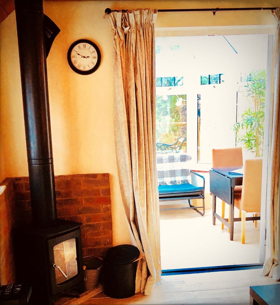 Log burning stove