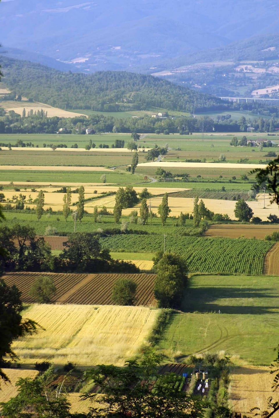 surrounding countryside
