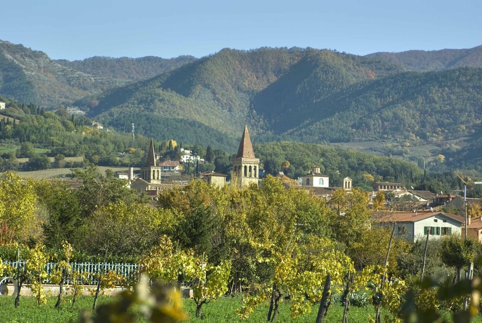 Sansepolcro from the countryside 
